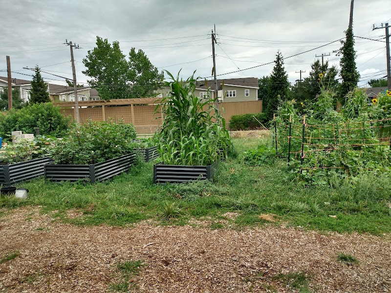 Cameron Court photo 2