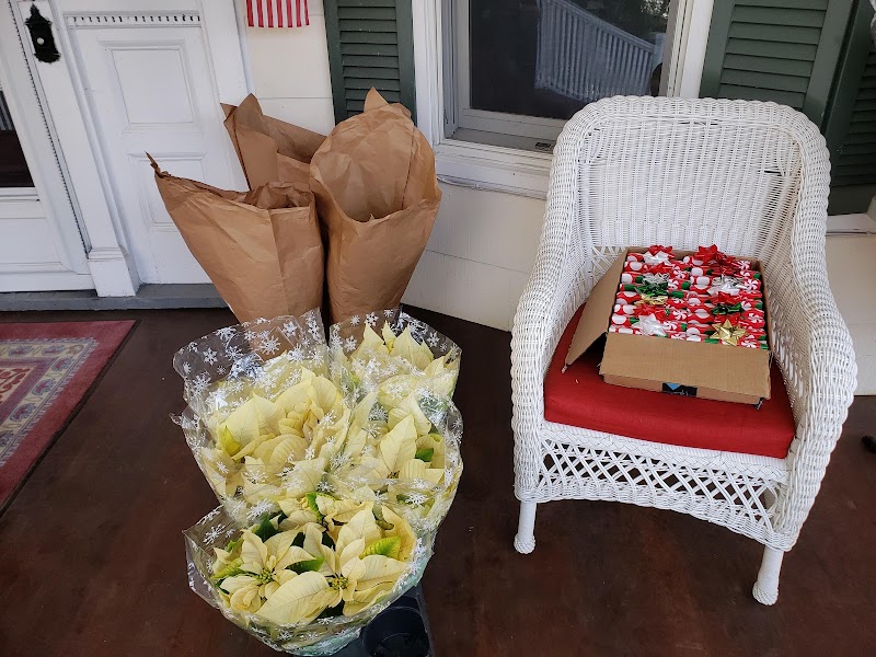 Little Senior Residence photo 3