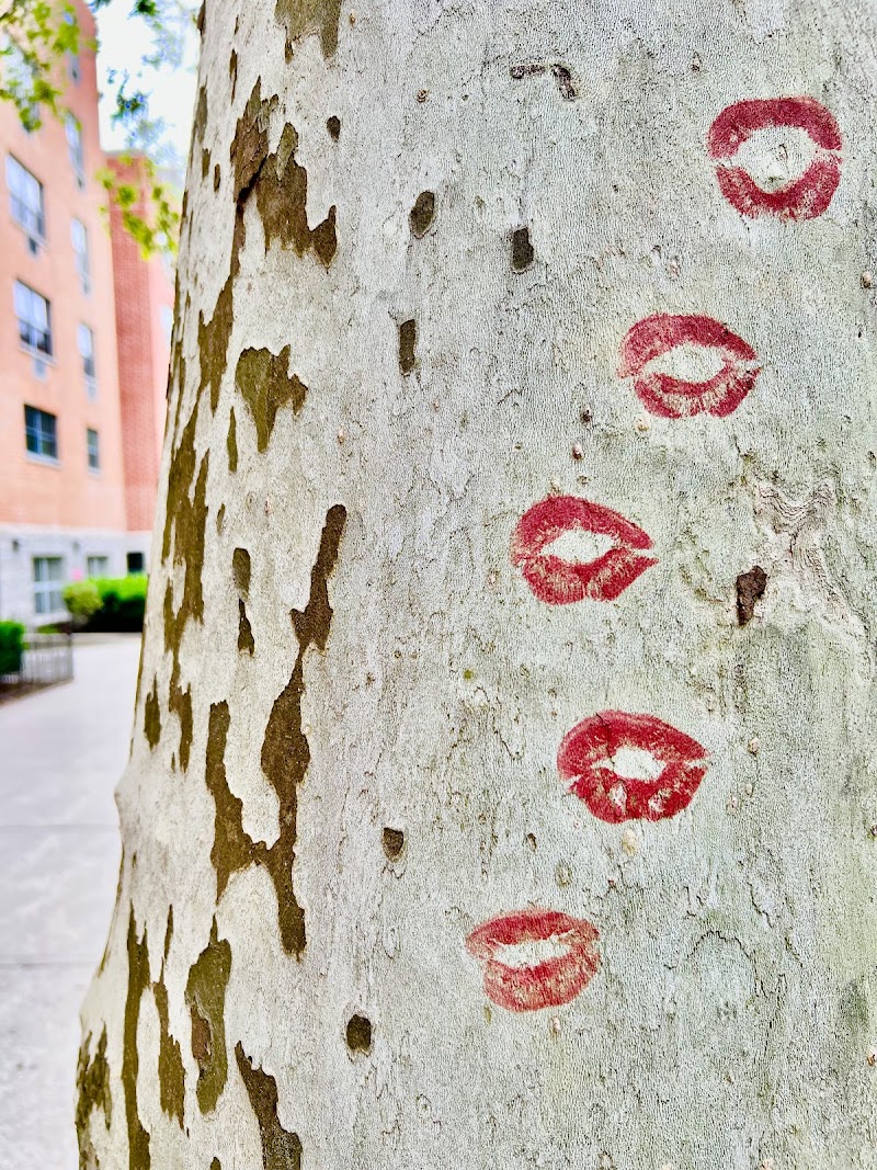 HANAC PCA Senior Residence