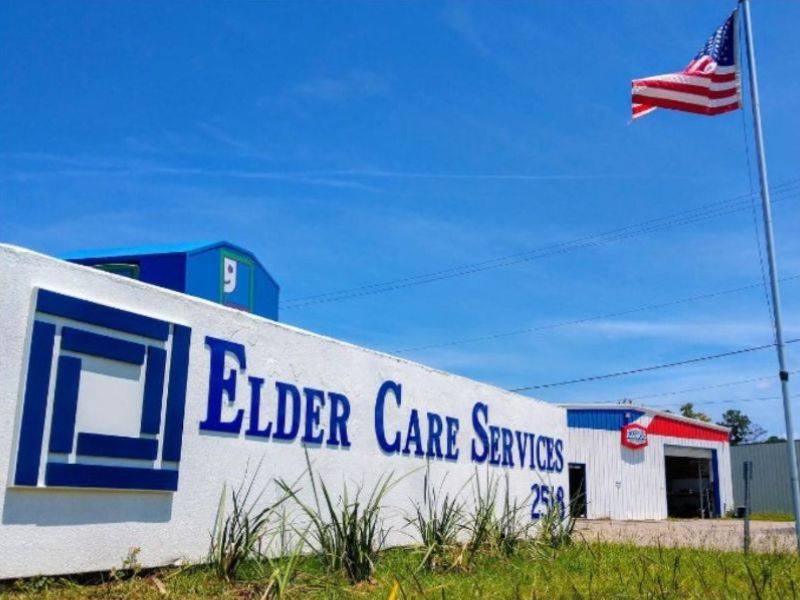 Elder Care Services Inc
