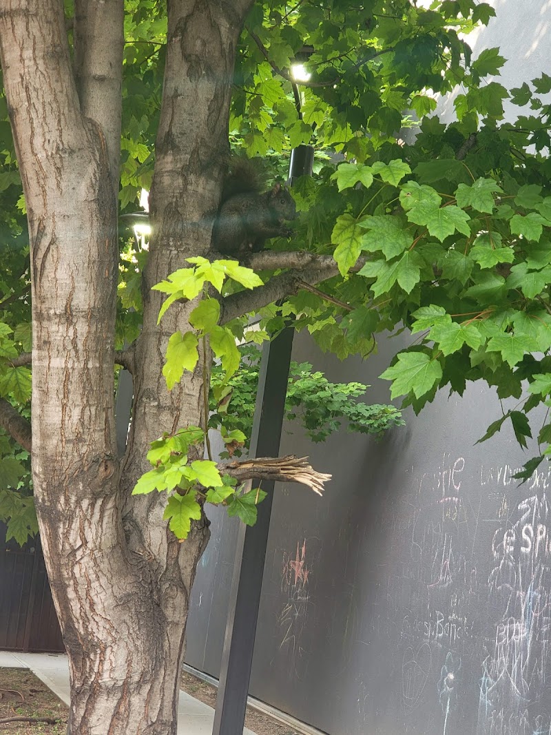 Canaan Senior Service Center photo 2