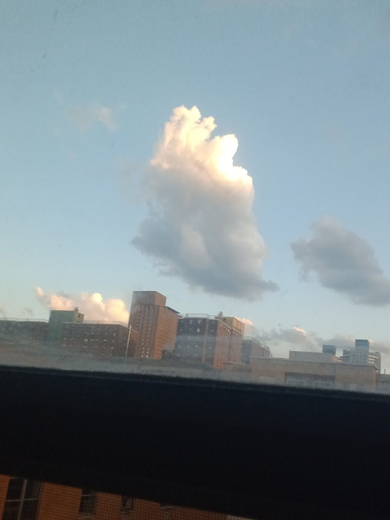 Canaan Senior Service Center photo 3