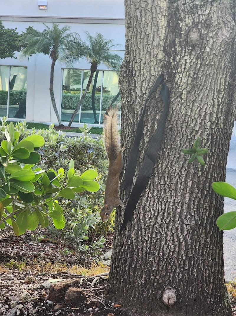 America-Loving Care Home Health