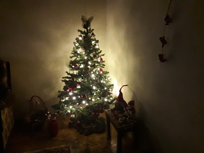 Ararat Home of Los Angeles, Inc. photo 2