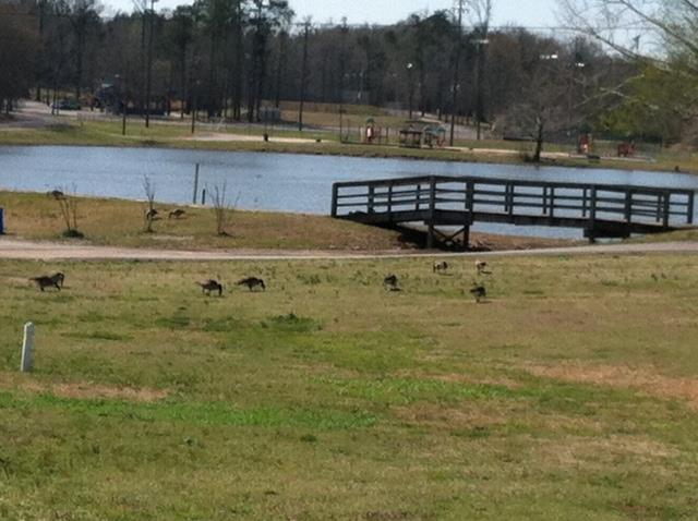 Maplewood Lane Assisted Living photo 3